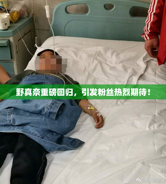 野真奈重磅回归，引发粉丝热烈期待！