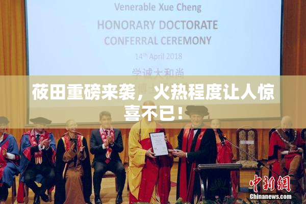 莜田重磅来袭，火热程度让人惊喜不已！