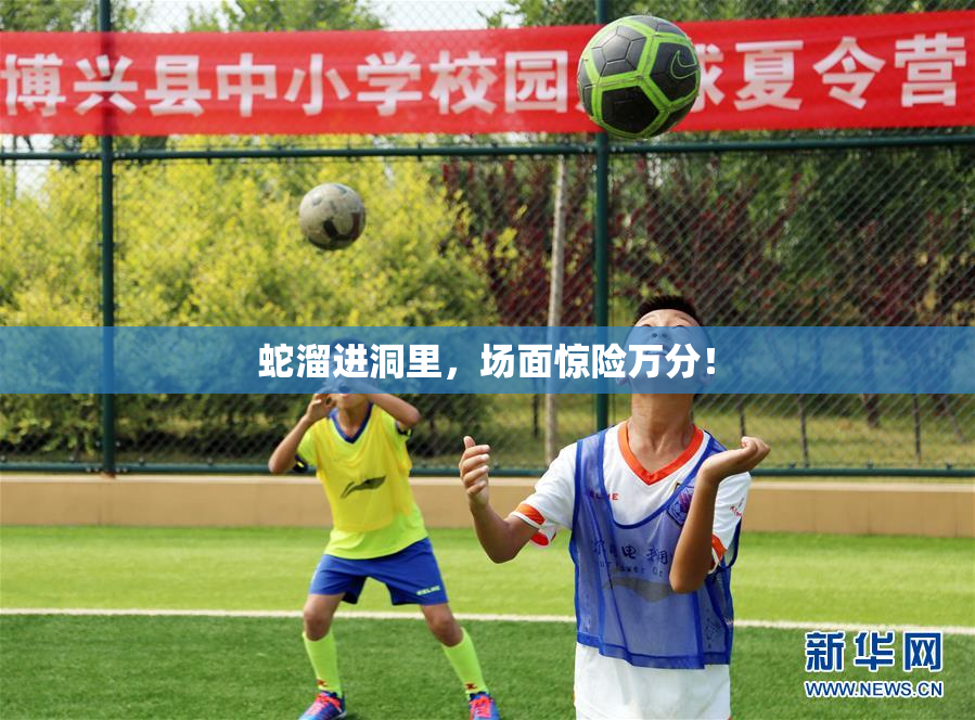 蛇溜进洞里，场面惊险万分！