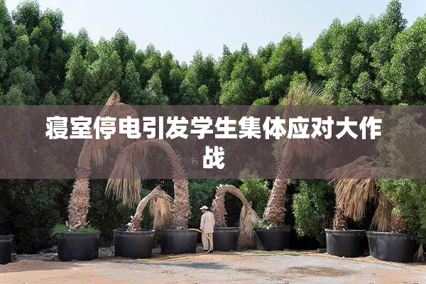 寝室停电引发学生集体应对大作战