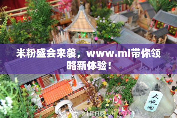 米粉盛会来袭，www.mi带你领略新体验！