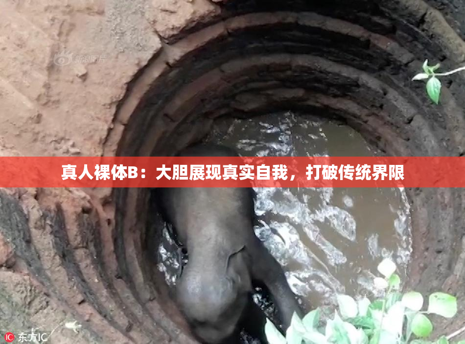 真人裸体B：大胆展现真实自我，打破传统界限