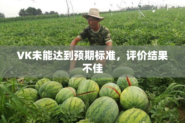 VK未能达到预期标准，评价结果不佳