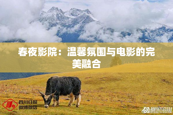 春夜影院：温馨氛围与电影的完美融合