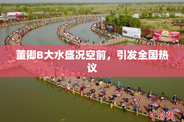 董卿B大水盛况空前，引发全国热议