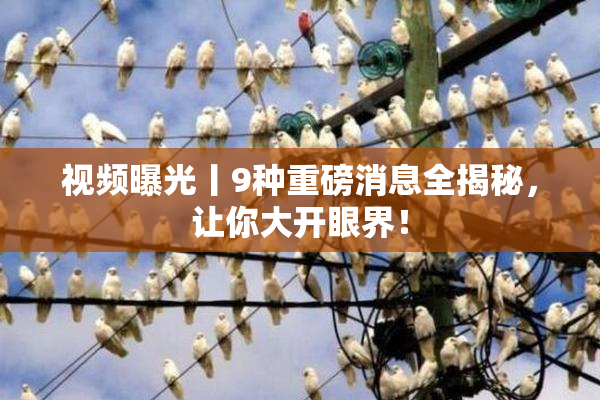 视频曝光丨9种重磅消息全揭秘，让你大开眼界！