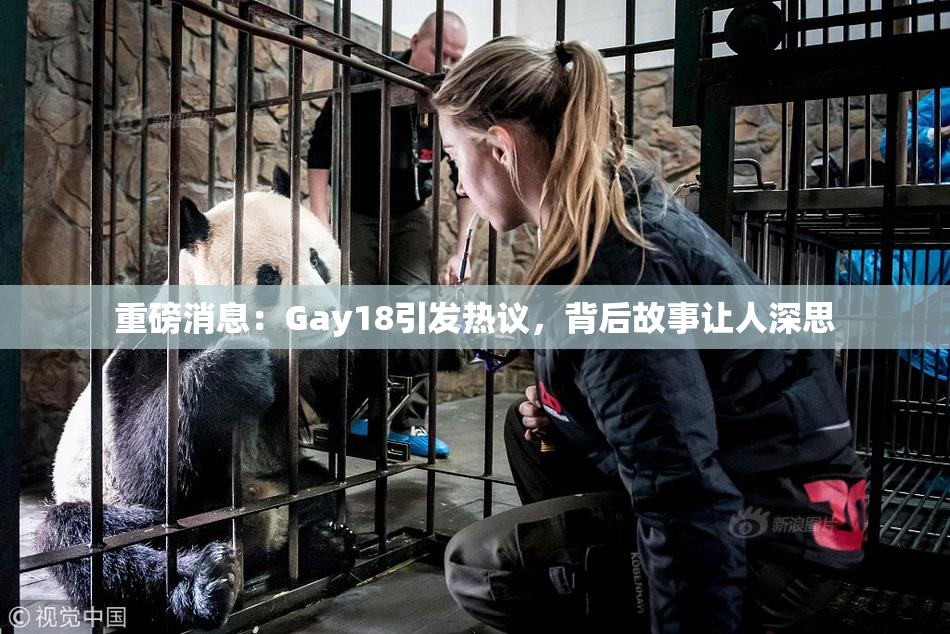 重磅消息：Gay18引发热议，背后故事让人深思