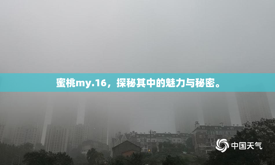 蜜桃my.16，探秘其中的魅力与秘密。
