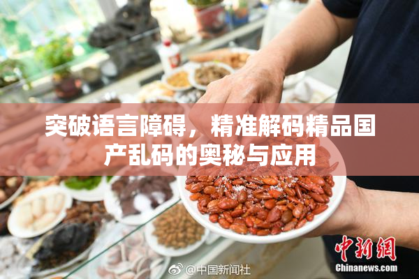 突破语言障碍，精准解码精品国产乱码的奥秘与应用