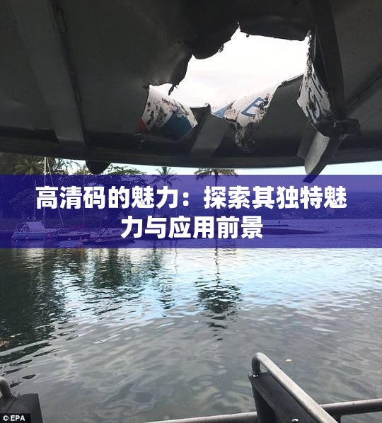 高清码的魅力：探索其独特魅力与应用前景
