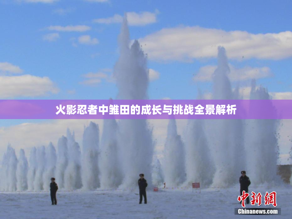 火影忍者中雏田的成长与挑战全景解析