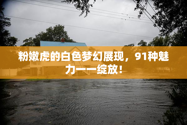 粉嫩虎的白色梦幻展现，91种魅力一一绽放！