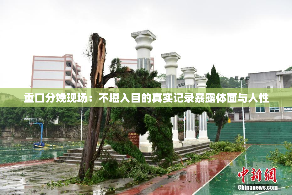 重口分娩现场：不堪入目的真实记录暴露体面与人性