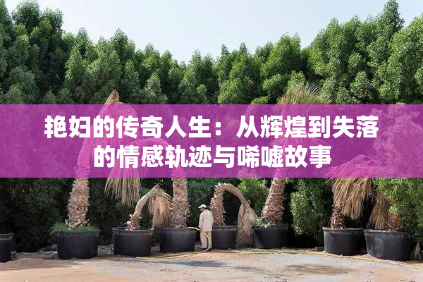 艳妇的传奇人生：从辉煌到失落的情感轨迹与唏嘘故事