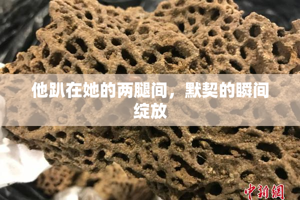 他趴在她的两腿间，默契的瞬间绽放