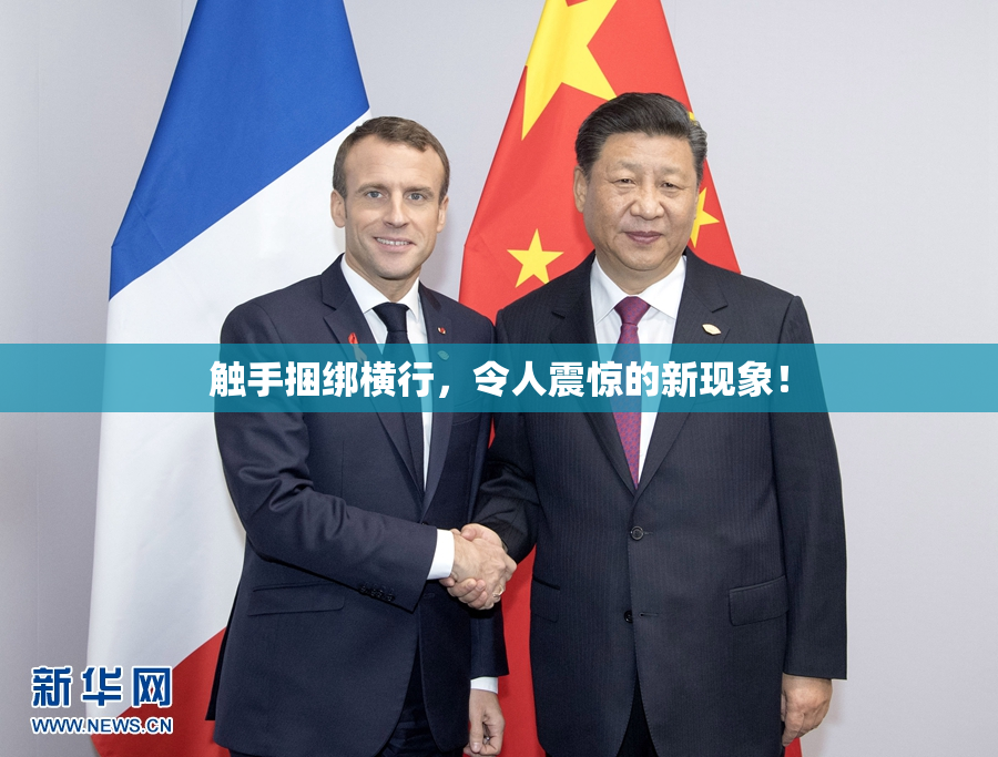触手捆绑横行，令人震惊的新现象！