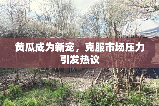 黄瓜成为新宠，克服市场压力引发热议