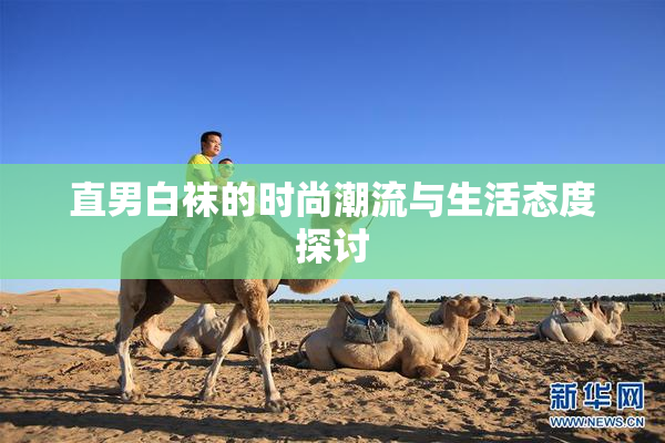 直男白袜的时尚潮流与生活态度探讨