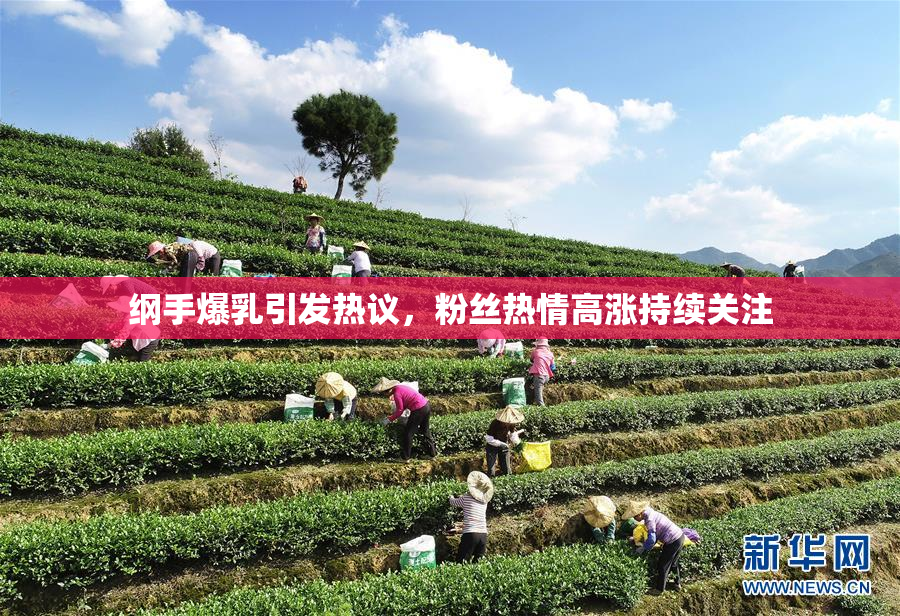 纲手爆乳引发热议，粉丝热情高涨持续关注