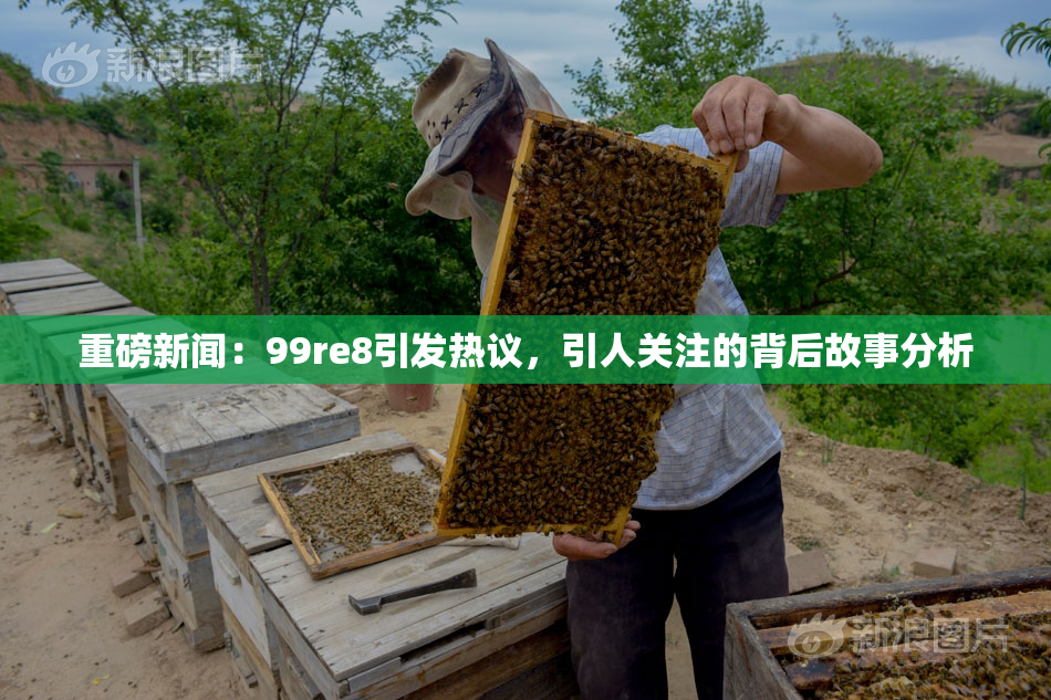 重磅新闻：99re8引发热议，引人关注的背后故事分析