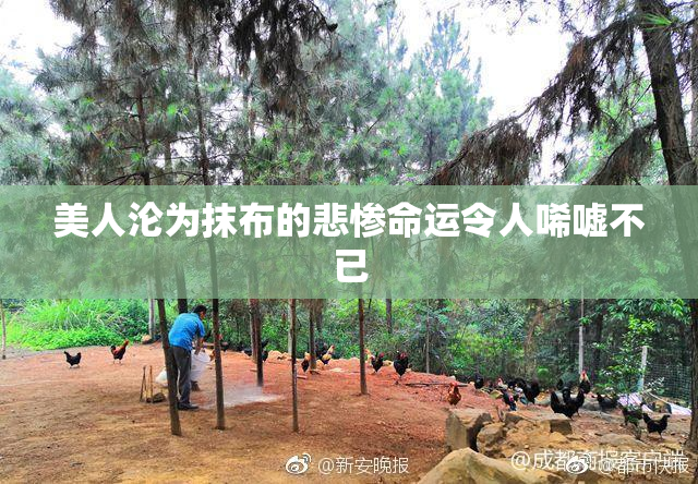 美人沦为抹布的悲惨命运令人唏嘘不已