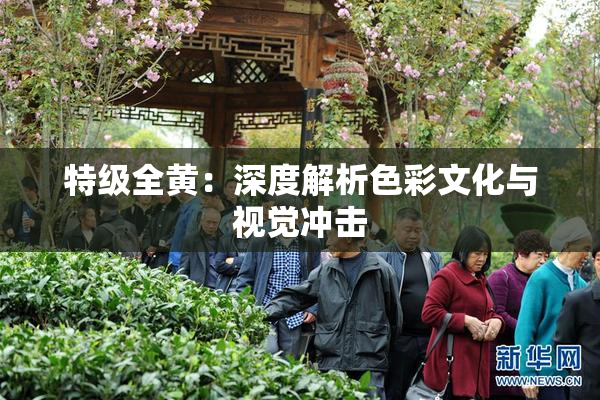特级全黄：深度解析色彩文化与视觉冲击