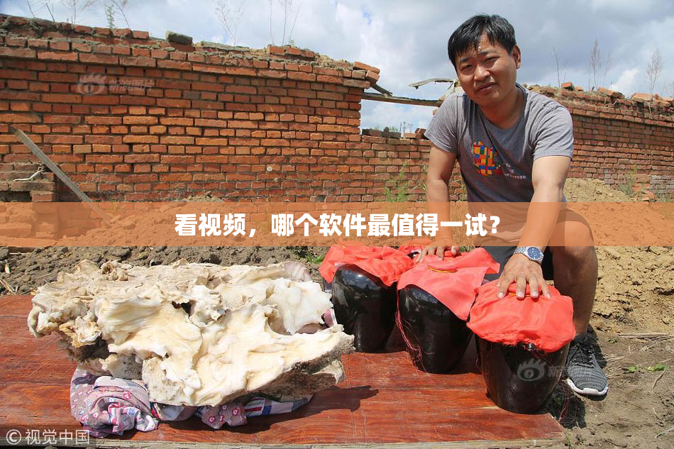 看视频，哪个软件最值得一试？