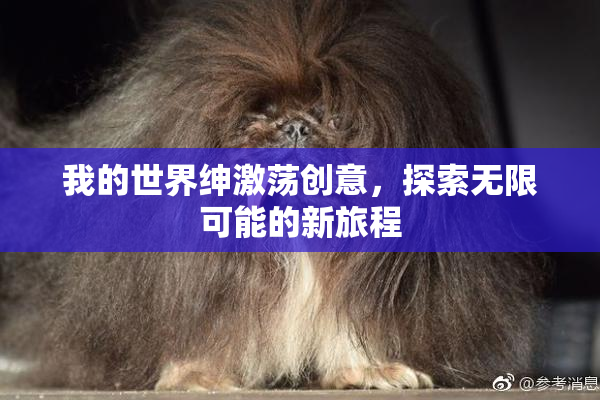 我的世界绅激荡创意，探索无限可能的新旅程
