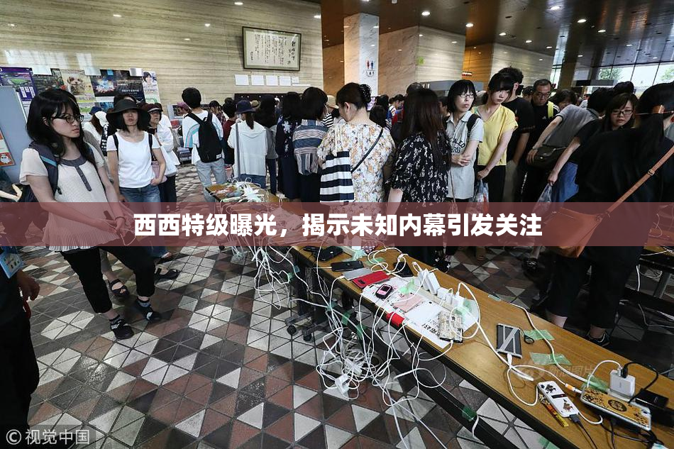 西西特级曝光，揭示未知内幕引发关注