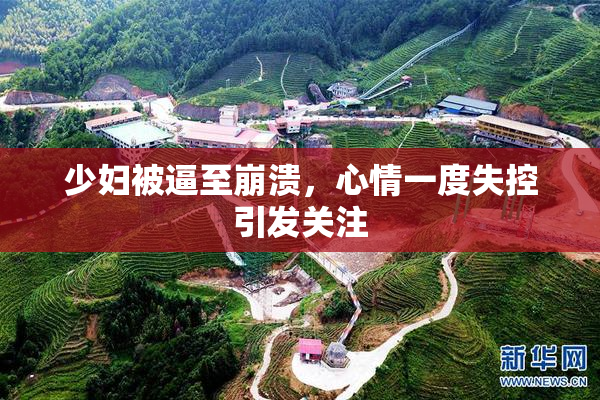 少妇被逼至崩溃，心情一度失控引发关注