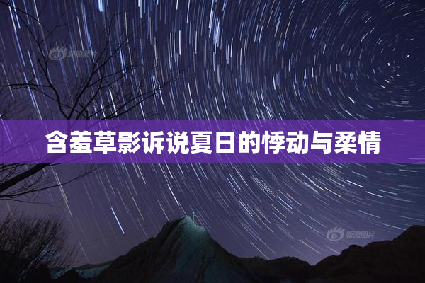 含羞草影诉说夏日的悸动与柔情