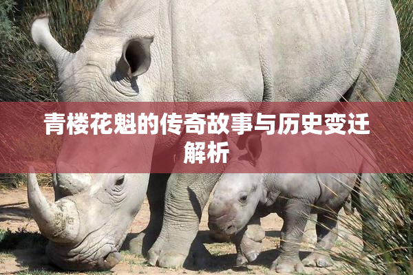 青楼花魁的传奇故事与历史变迁解析