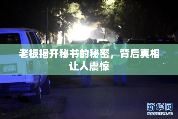 老板揭开秘书的秘密，背后真相让人震惊