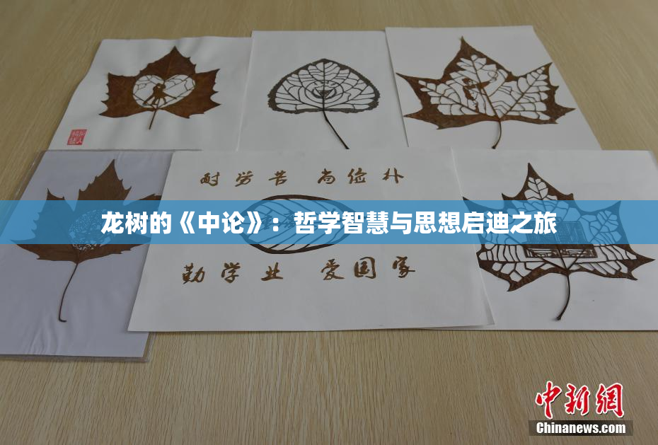 龙树的《中论》：哲学智慧与思想启迪之旅