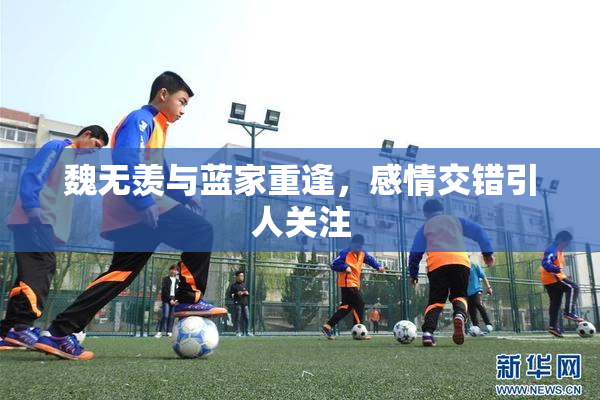 魏无羡与蓝家重逢，感情交错引人关注