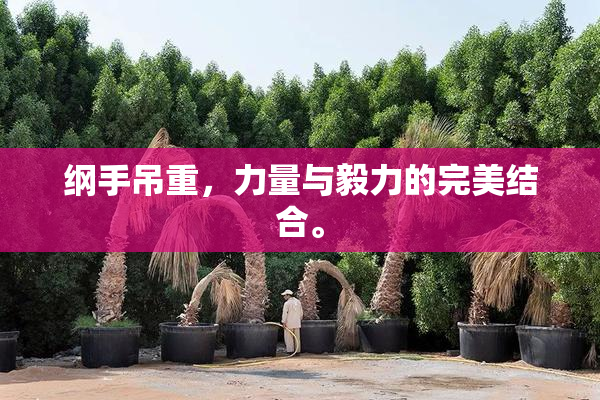 纲手吊重，力量与毅力的完美结合。