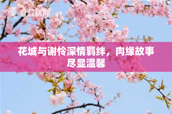 花城与谢怜深情羁绊，肉缘故事尽显温馨