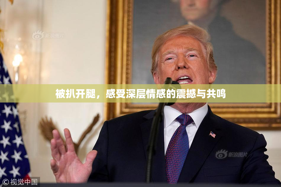 被扒开腿，感受深层情感的震撼与共鸣