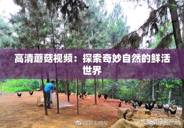 高清蘑菇视频：探索奇妙自然的鲜活世界