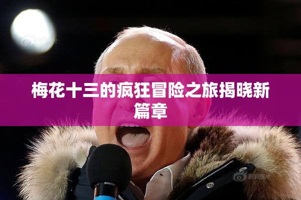 梅花十三的疯狂冒险之旅揭晓新篇章