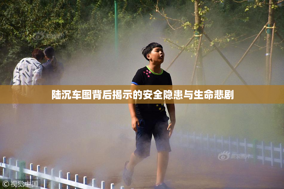 陆沉车图背后揭示的安全隐患与生命悲剧