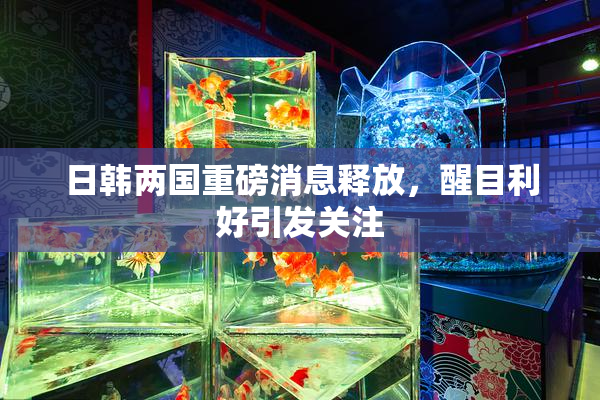 日韩两国重磅消息释放，醒目利好引发关注