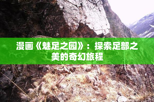 漫画《魅足之园》：探索足部之美的奇幻旅程
