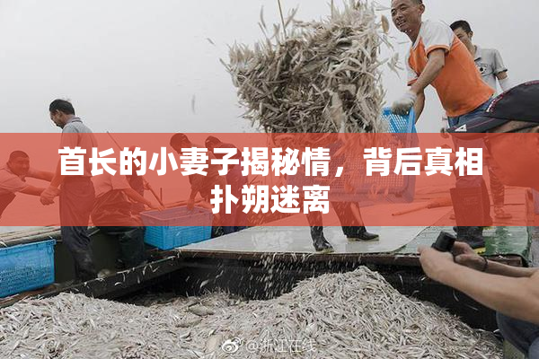 首长的小妻子揭秘情，背后真相扑朔迷离