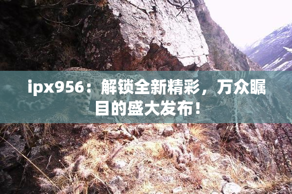 ipx956：解锁全新精彩，万众瞩目的盛大发布！