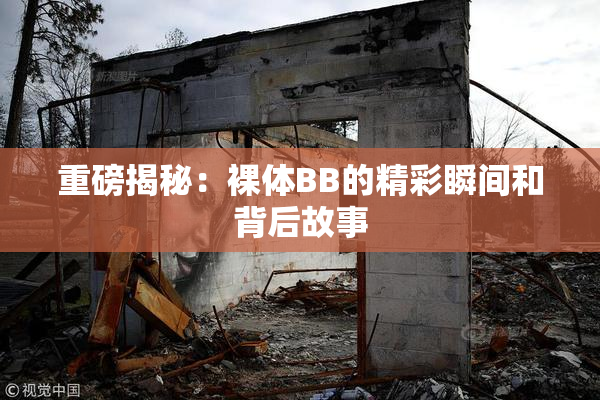 重磅揭秘：裸体BB的精彩瞬间和背后故事