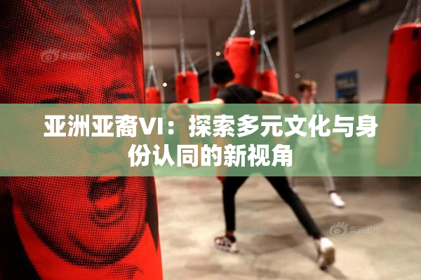 亚洲亚裔VI：探索多元文化与身份认同的新视角