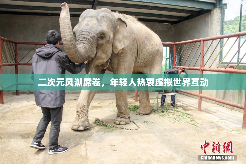 二次元风潮席卷，年轻人热衷虚拟世界互动