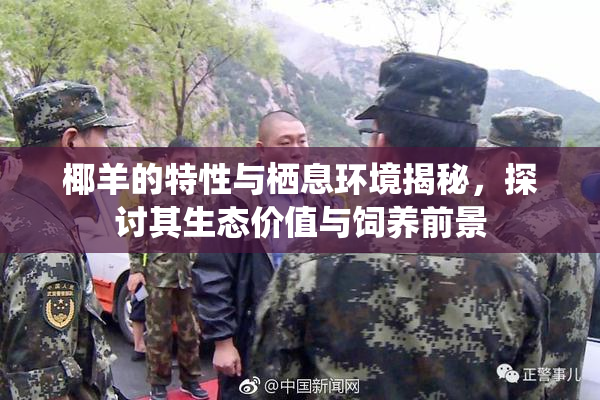 椰羊的特性与栖息环境揭秘，探讨其生态价值与饲养前景