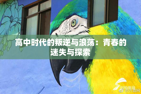 高中时代的叛逆与浪荡：青春的迷失与探索